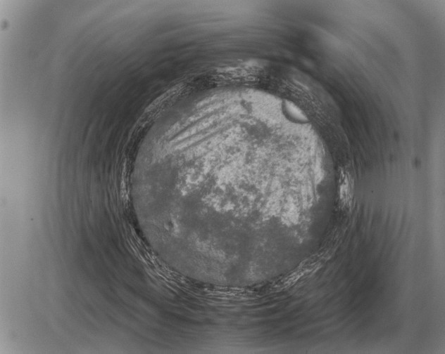 X0000085250819200703231647