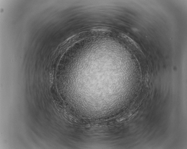 X0000085250821200703231647