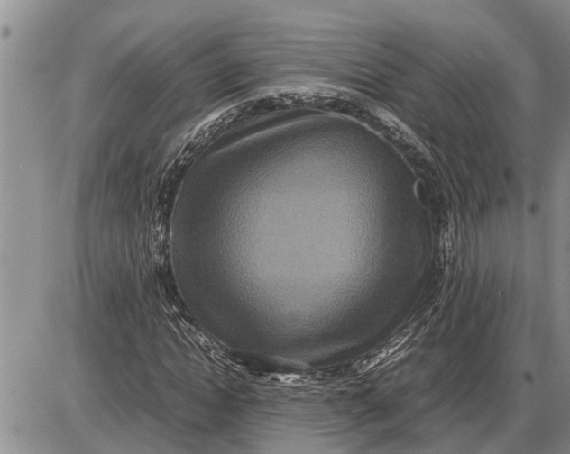 X0000085250822200703231647