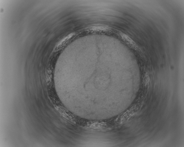 X0000085250824200703231647