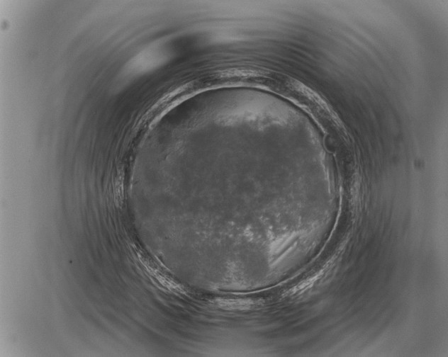 X0000085250825200703231647