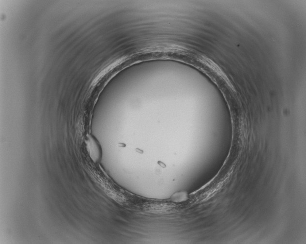 X0000085250826200703231647