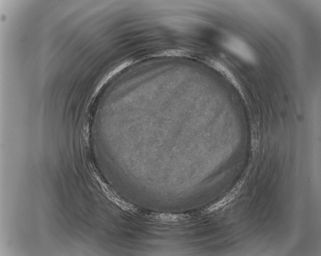 X0000085250827200703231647