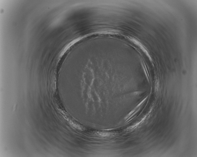 X0000085250829200703231647