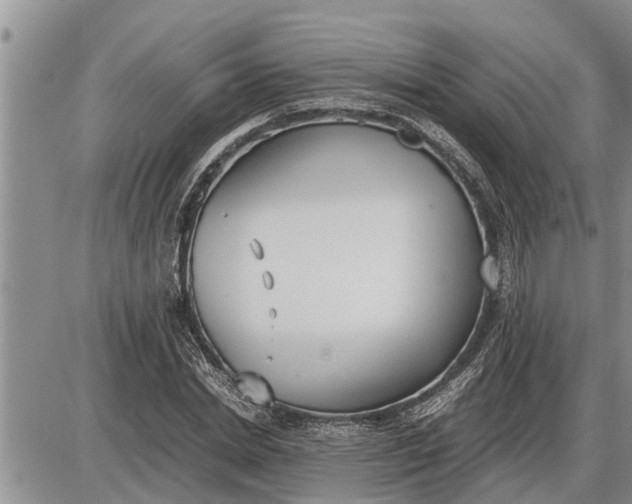 X0000085250830200703231647