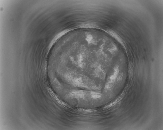 X0000085250831200703231647