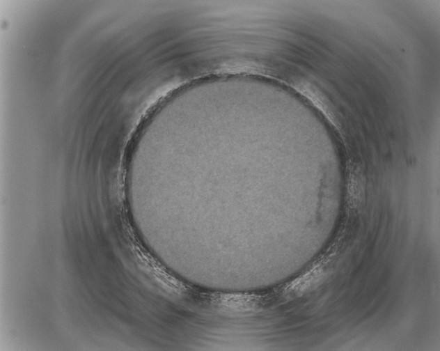 X0000085250832200703231647