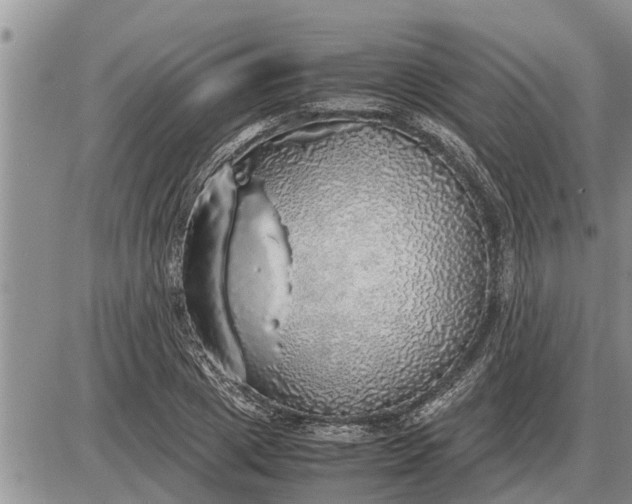 X0000085250833200703231647