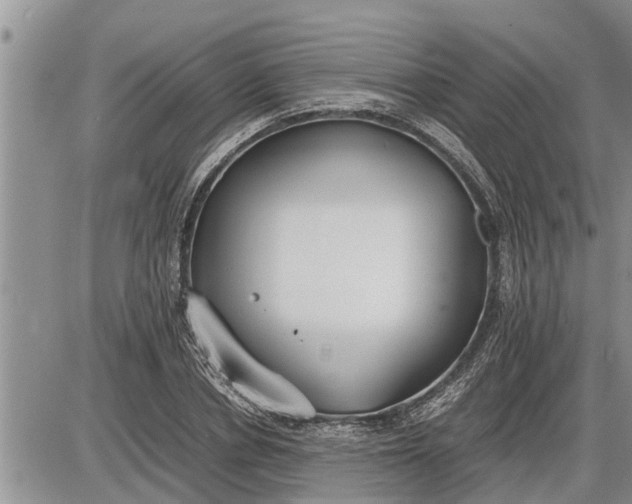 X0000085250834200703231647