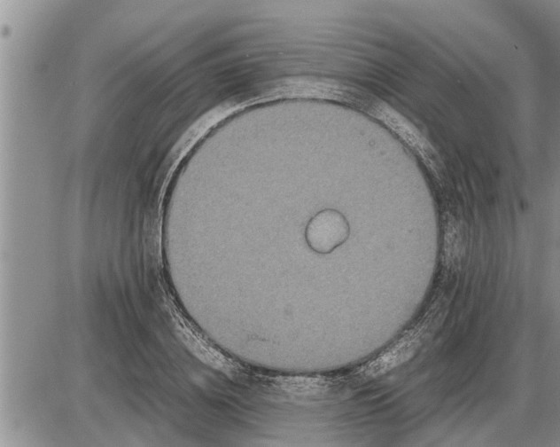 X0000085250836200703231647