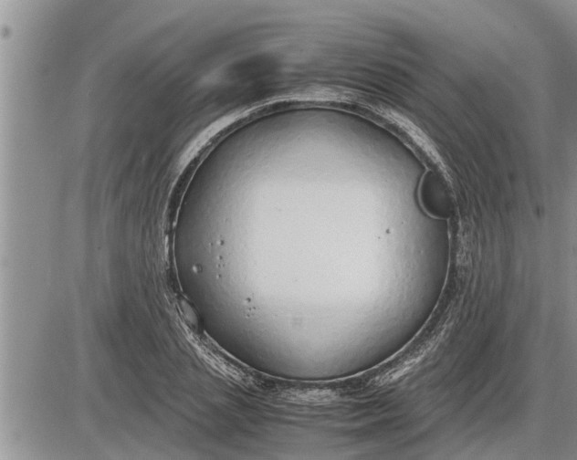 X0000085250837200703231648