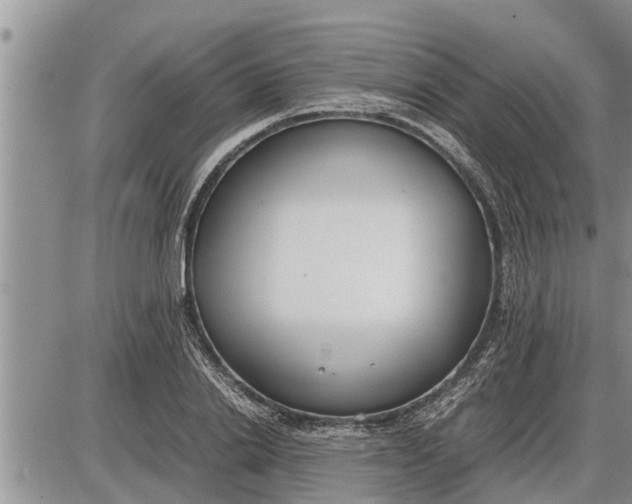 X0000085250838200703231648