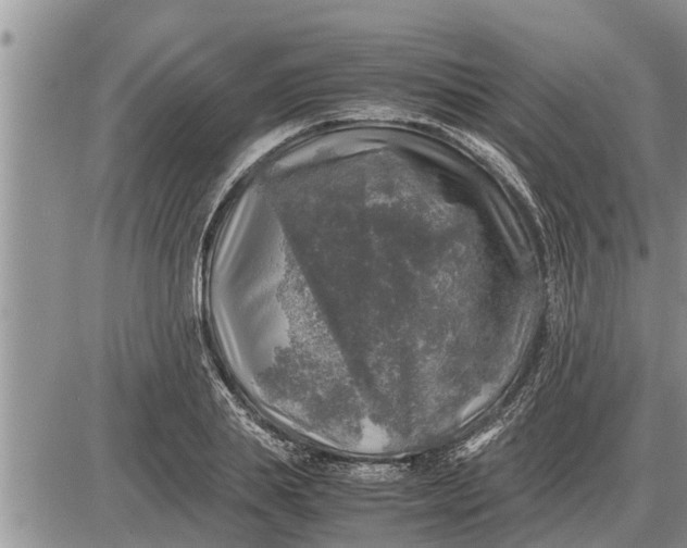 X0000085250839200703231648