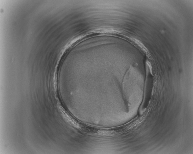 X0000085250840200703231648