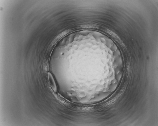 X0000085250841200703231648