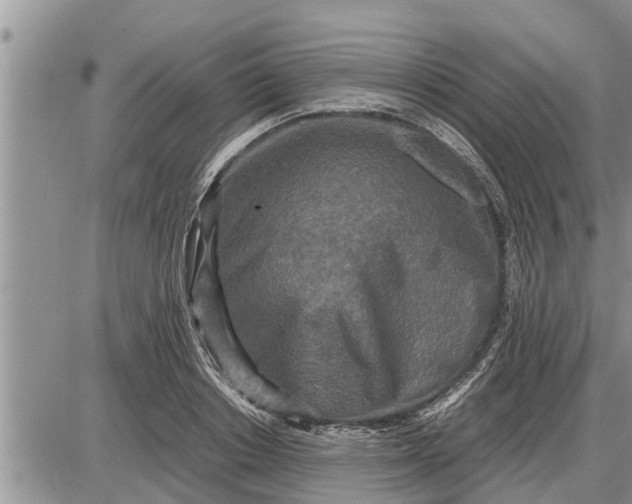 X0000085250842200703231648