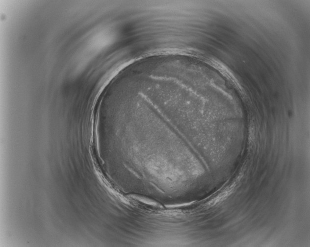 X0000085250844200703231648