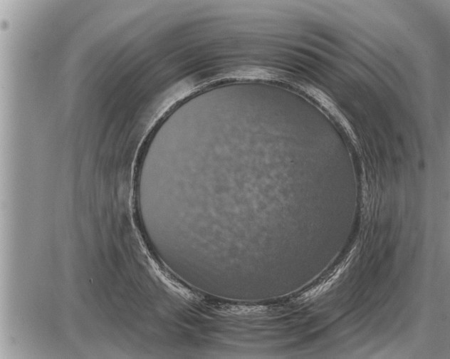 X0000085250845200703231648