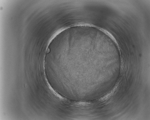 X0000085250847200703231648