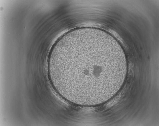 X0000085250848200703231648