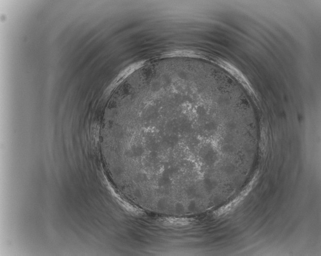 X0000085250849200703231648