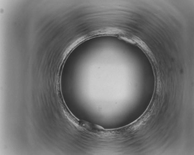 X0000085250850200703231648