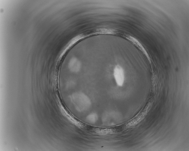 X0000085250851200703231648