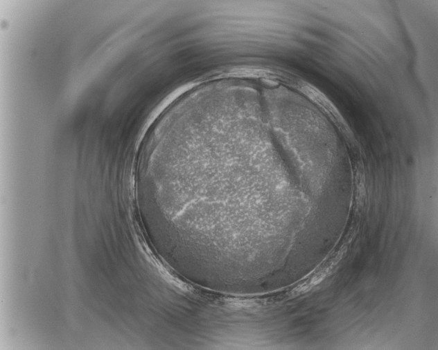 X0000085250852200703231648