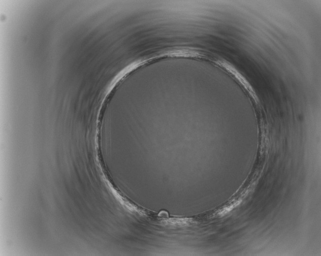 X0000085250853200703231648