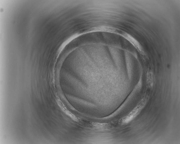 X0000085250854200703231648