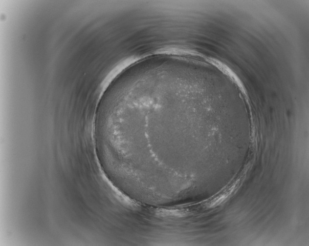 X0000085250855200703231648