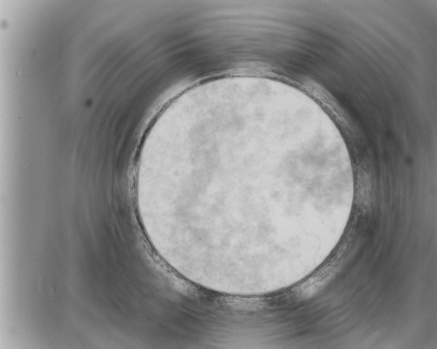 X0000085250856200703231648