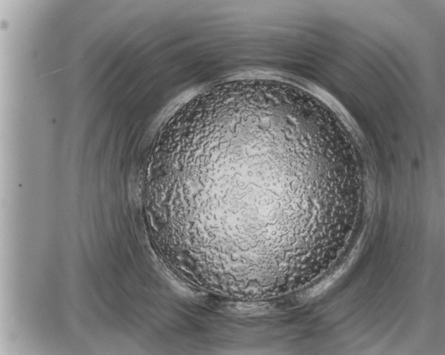 X0000085250857200703231648