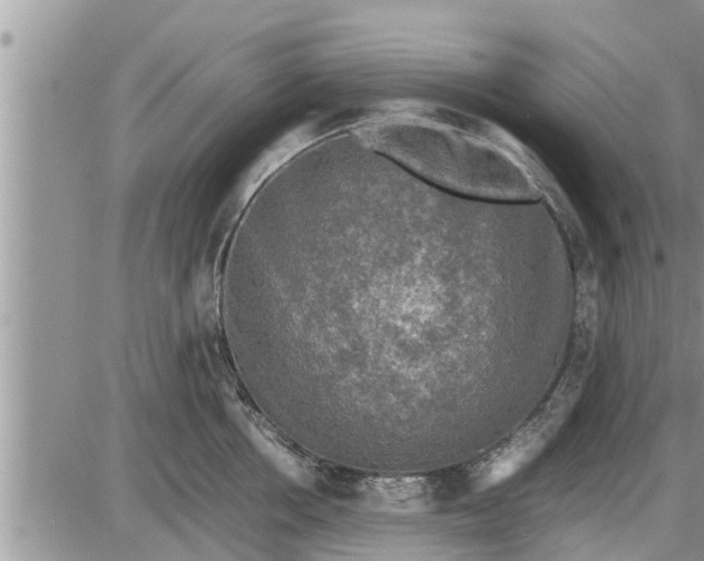 X0000085250858200703231648