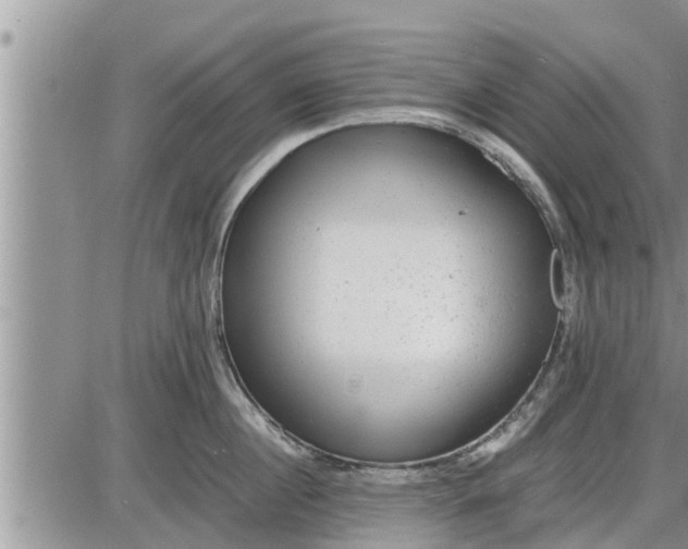 X0000085250860200703231648