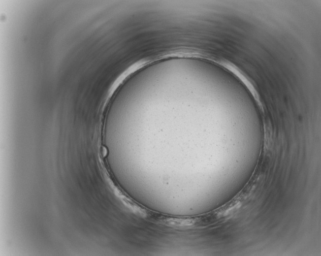 X0000085250861200703231648