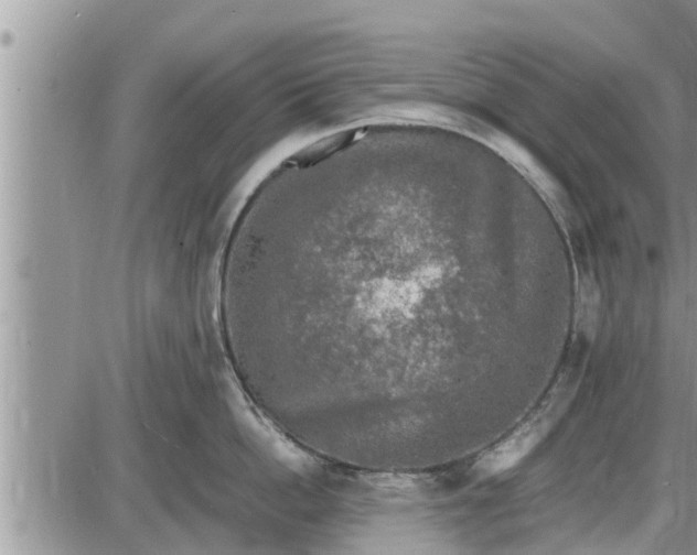 X0000085250862200703231648