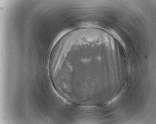 X0000085250863200703231648