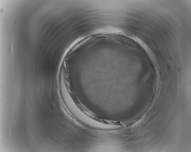 X0000085250864200703231648