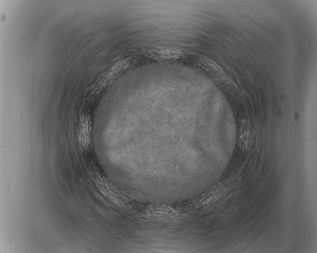 X0000085250866200703231647