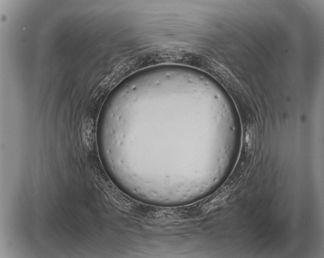 X0000085250867200703231647