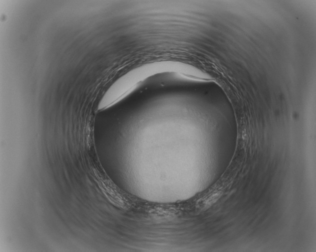 X0000085250868200703231647