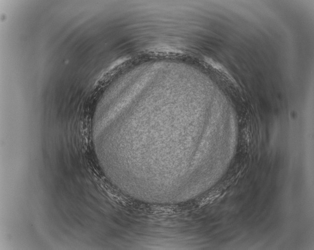 X0000085250870200703231647