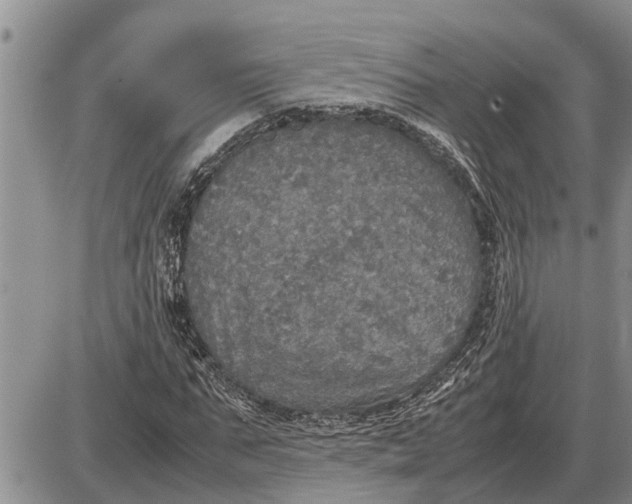 X0000085250871200703231647