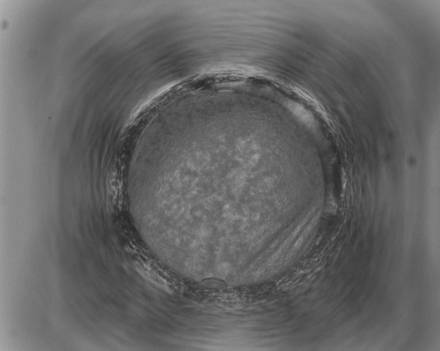 X0000085250872200703231647