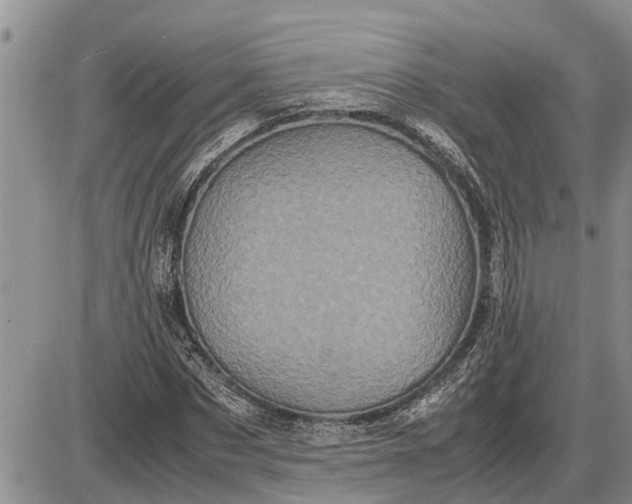 X0000085250873200703231647