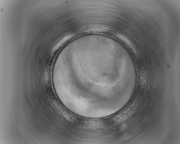 X0000085250874200703231647