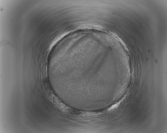 X0000085250877200703231647