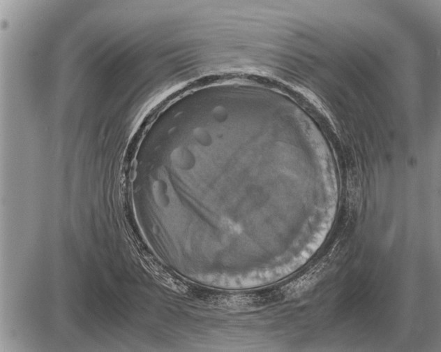 X0000085250879200703231647