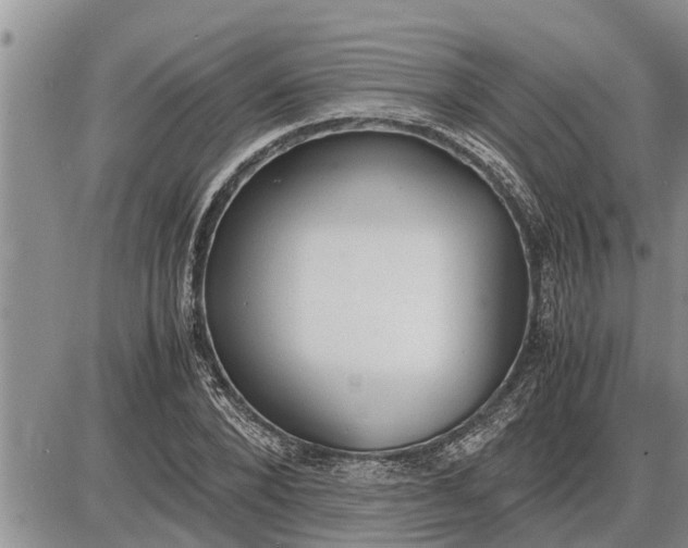 X0000085250880200703231647